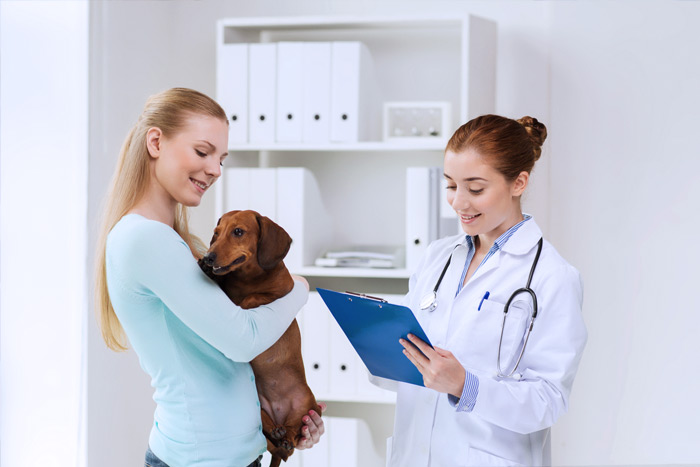 ЭЦП для оформления ветеринарных сертификатов (ГИС Меркурий) в Ступино